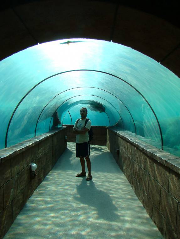 Aquário do Atlantis - Nassau