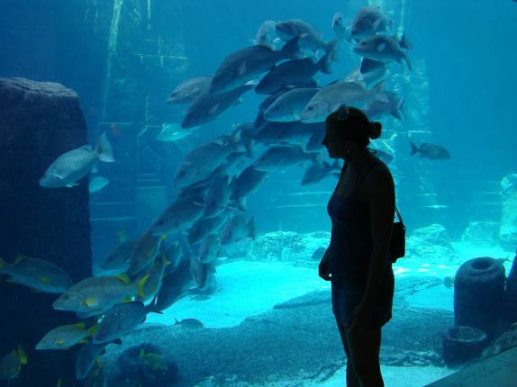 Aquário do Atlantis - Nassau