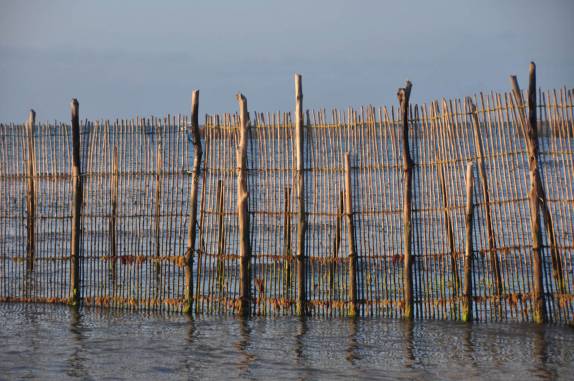 Armadilha para peixes em Barra Grande, Península do Maraú - BA
