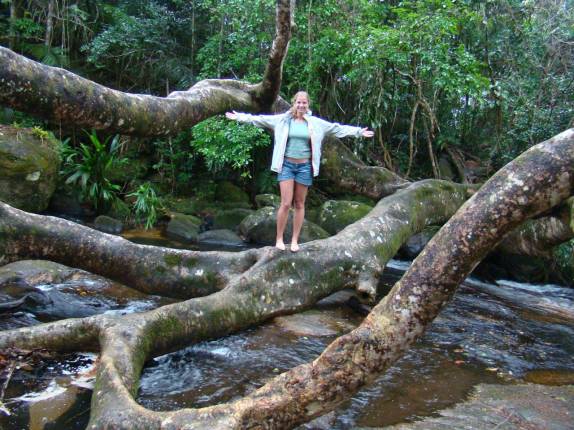 'Arvorismo' na cachoeira do Saco do Mamanguá, região de Parati - RJ 'Arvorismo' na cachoeira do Saco do Mamanguá, região de Parati - RJ