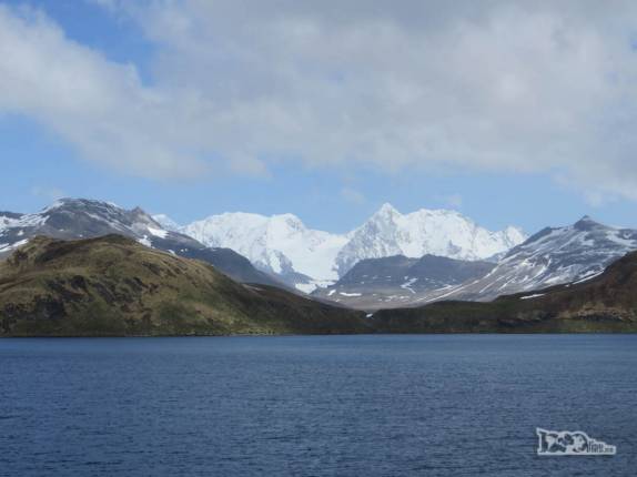 As mais altas montanhas da Geórgia do Sul, como o Mount Paget, na região de Stromness As mais altas montanhas da Geórgia do Sul, como o Mount Paget, na região de Stromness