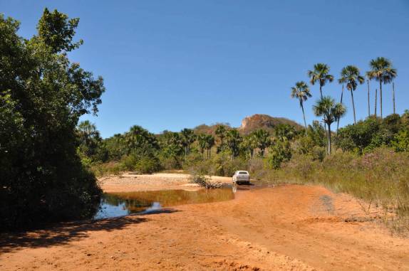 Atravessando a Vereda 'Buraco' próximo à Chapada Gaúcha - MG