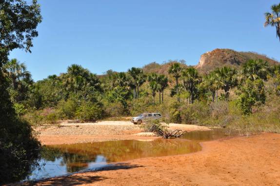 Atravessando a Vereda 'Buraco' próximo à Chapada Gaúcha - MG