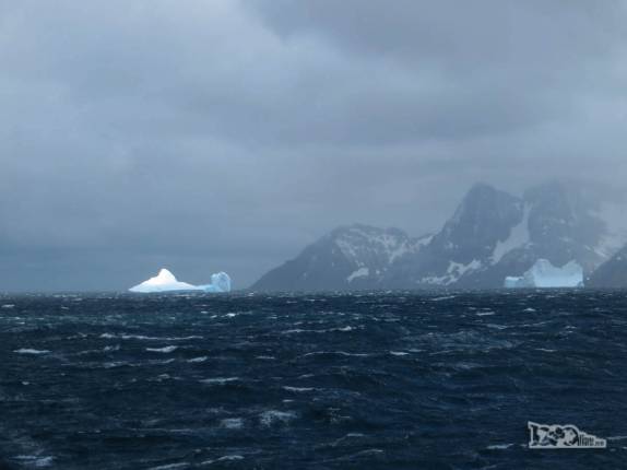 Avistando os primeiros grandes icebergs da viagem, pouco antes de entrar no Drygalski Fjord, na Geórgia do Sul Avistando os primeiros grandes icebergs da viagem, pouco antes de entrar no Drygalski Fjord, na Geórgia do Sul