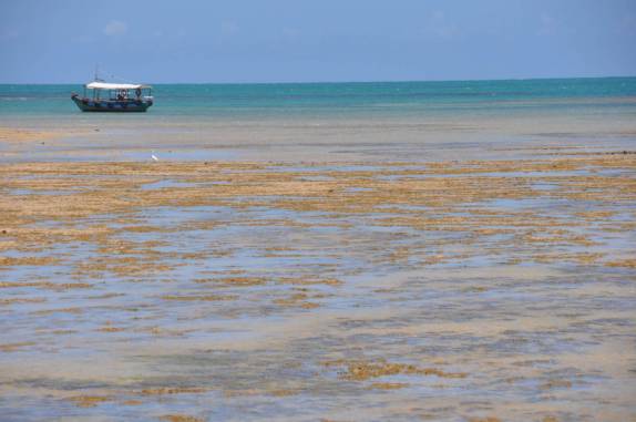 Barcos visitam as pscinas de maré baixa na praia de Moreré, na Ilha de Boipeba - BA