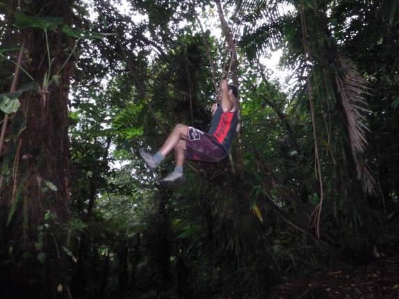 Brincando com cipó na trilha do Boiling Lake, no Trois Pitons National Park, em Dominica, no Caribe Brincando com cipó na trilha do Boiling Lake, no Trois Pitons National Park, em Dominica, no Caribe