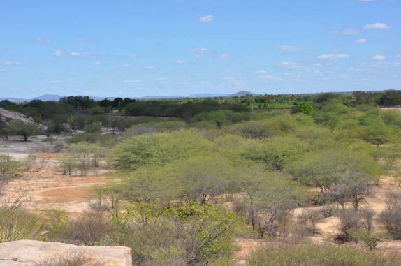 Caatinga vista do alto do Serrote do Urubu, próximo à Petrolina - PE