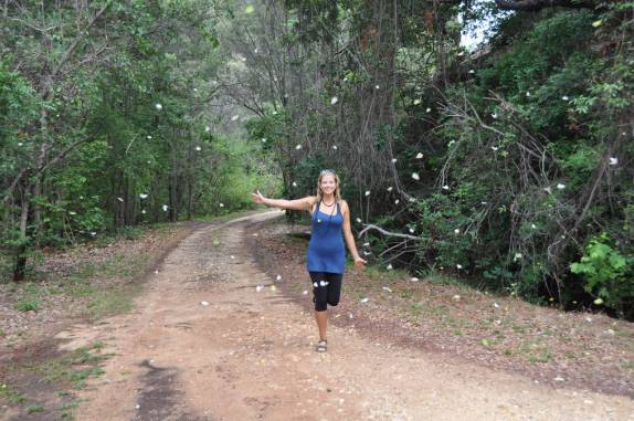 Caminhando com as borboletas na Serra da Capivara, próximo à São Raimundo Nonato - PI