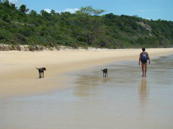 Caminhando com o casal de cachorros em CaraÃva - BA Caminhando com o casal de cachorros em CaraÃva - BA