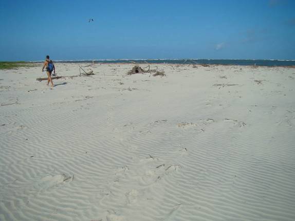 Caminhando de volta da Foz do Rio Ribeira para a vila