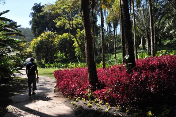 Caminhando em Inhotim, Brumadinho, próximo à Belo Horizonte - MG Caminhando em Inhotim, Brumadinho, próximo à Belo Horizonte - MG