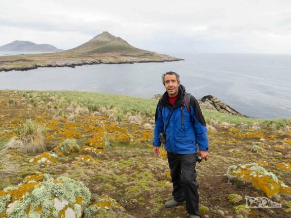 Caminhando na ilha de Steeple Jason, no noroeste das Ilhas Malvinas Caminhando na ilha de Steeple Jason, no noroeste das Ilhas Malvinas