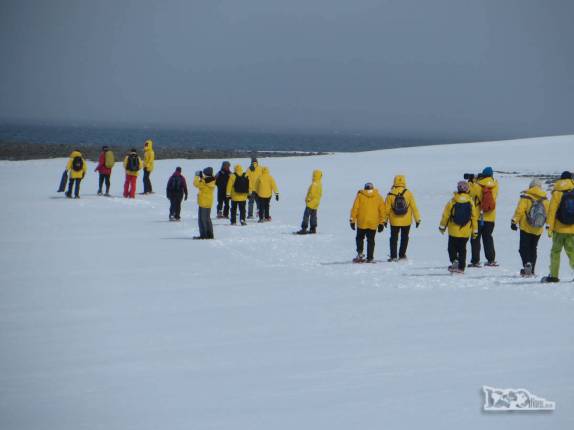 Caminhando na neve ao redor de um lago congelado em Turret Point, em King George Island, na Antártida Caminhando na neve ao redor de um lago congelado em Turret Point, em King George Island, na Antártida