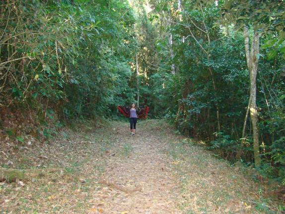 Caminhando na sombra da Mata Atlântica na Trilha do Bonete em Ilha Bela - SP Caminhando na sombra da Mata Atlântica na Trilha do Bonete em Ilha Bela - SP
