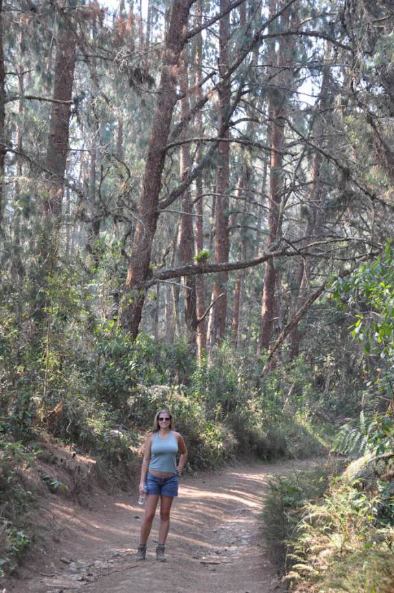 Caminhando no Parque Nacional da Serra da Bocaina - SP