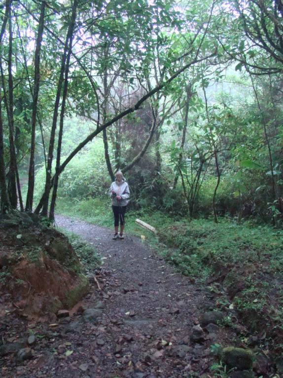 Caminhando no Parque Nacional Tenorio, no norte da Costa Rica Caminhando no Parque Nacional Tenorio, no norte da Costa Rica