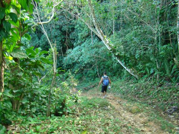 Caminhando pela Mata Atlântica voltando do Bonete em Ilha Bela - SP Caminhando pela Mata Atlântica voltando do Bonete em Ilha Bela - SP