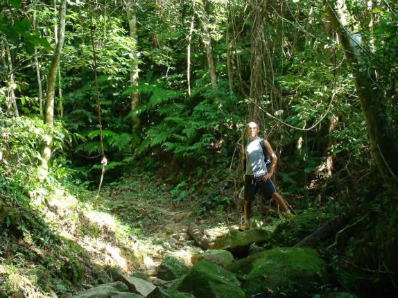 Caminhando pela Mata Atlântica voltando do Bonete em Ilha Bela - SP Caminhando pela Mata Atlântica voltando do Bonete em Ilha Bela - SP