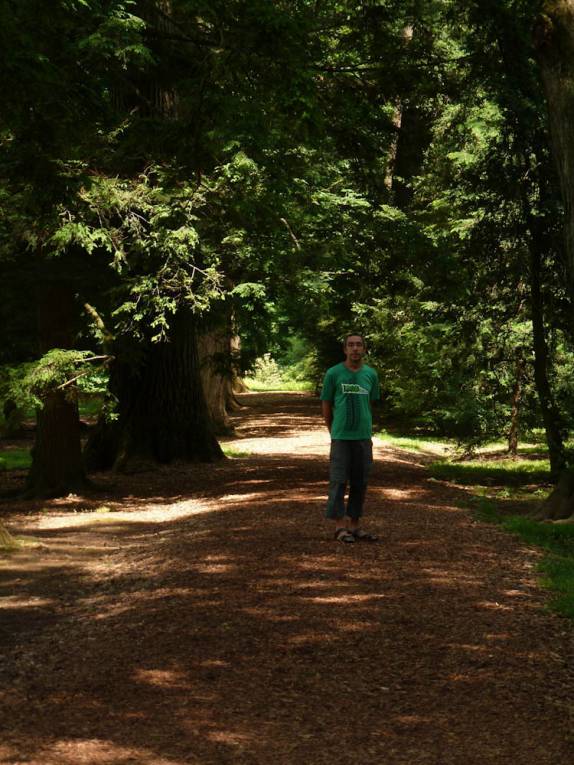 caminhando pelo Longwood Gardens, na Pennsylvania - Estados Unidos caminhando pelo Longwood Gardens, na Pennsylvania - Estados Unidos