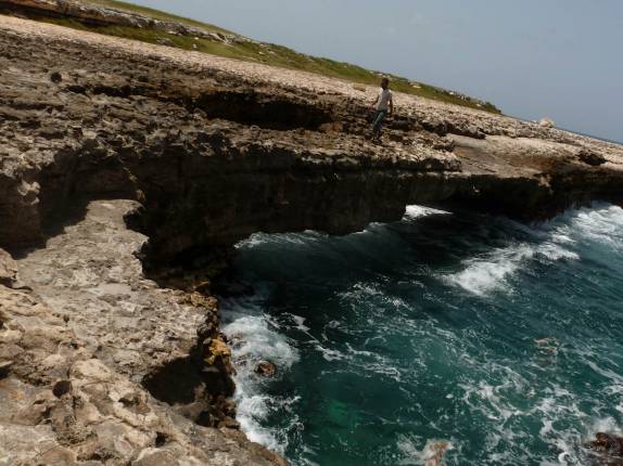 Caminhando sobre a bela ponte de corais de Devil's Bridge, na costa nordeste de Antígua, no Caribe Caminhando sobre a bela ponte de corais de Devil's Bridge, na costa nordeste de Antígua, no Caribe