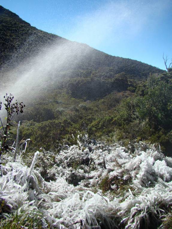 Capim congelado na parte alta do Parque Nacional de Chirripó, na Costa Rica