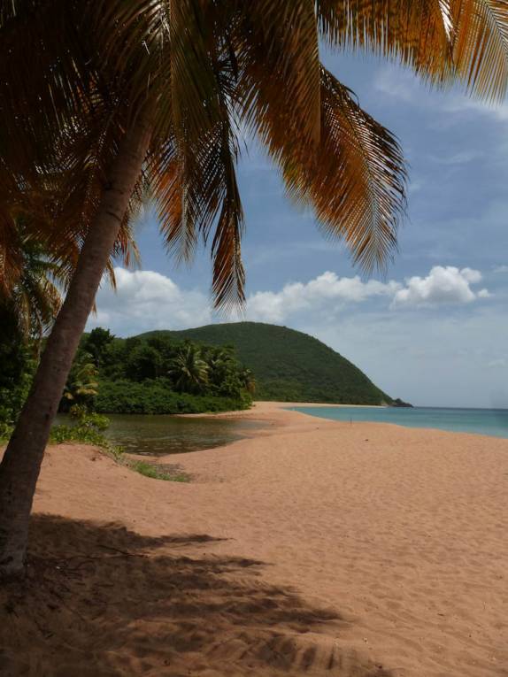 Cara de Bahia, mas é a praia de Grande Anse, em Basse Terre, em Guadalupe, no Caribe Cara de Bahia, mas é a praia de Grande Anse, em Basse Terre, em Guadalupe, no Caribe