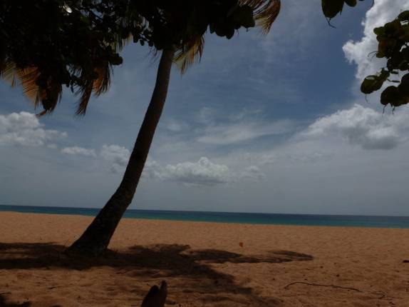 Cara de Bahia, mas é a praia de Grande Anse, em Basse Terre, em Guadalupe, no Caribe Cara de Bahia, mas é a praia de Grande Anse, em Basse Terre, em Guadalupe, no Caribe