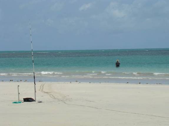 Cenário perfeito para pescar! (Praia de Carneiros, em Tamandaré - PE) Cenário perfeito para pescar! (Praia de Carneiros, em Tamandaré - PE)
