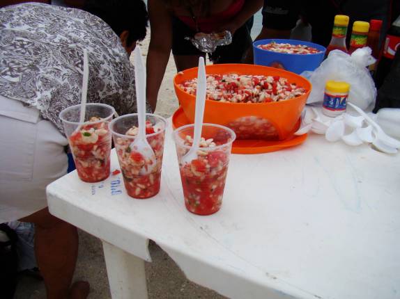 Ceviche, nosso piquenique numa das praias da ilha de Espíritu Santo, região de La Paz, na Baja California - México Ceviche, nosso piquenique numa das praias da ilha de Espíritu Santo, região de La Paz, na Baja California - México
