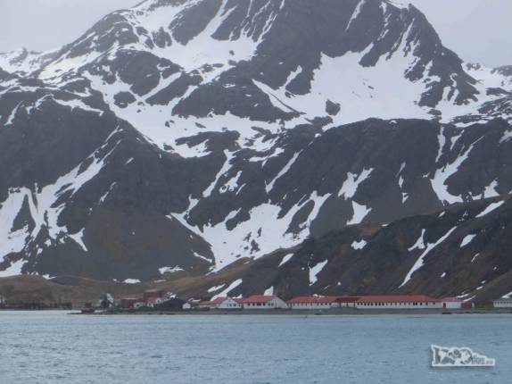 Chegando a Grytviken, na Geórgia do Sul Chegando a Grytviken, na Geórgia do Sul