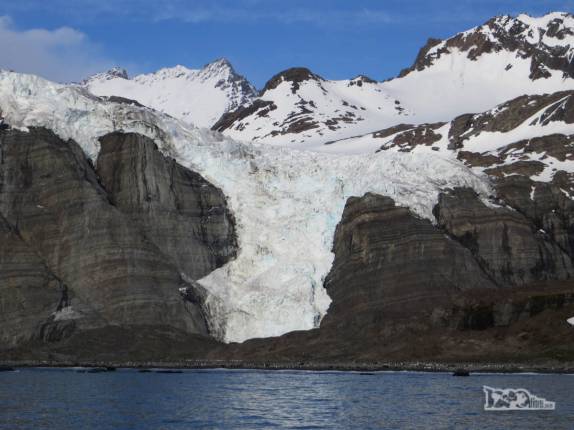 Chegando a maravilhosa Gold Harbour, na Geórgia do Sul, para uma sessão de caiaque e dsembarque em terra Chegando a maravilhosa Gold Harbour, na Geórgia do Sul, para uma sessão de caiaque e dsembarque em terra