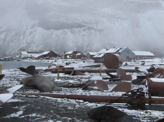 Chegando a Stromness, antiga estação baleeira na Geórgia do Sul Chegando a Stromness, antiga estação baleeira na Geórgia do Sul