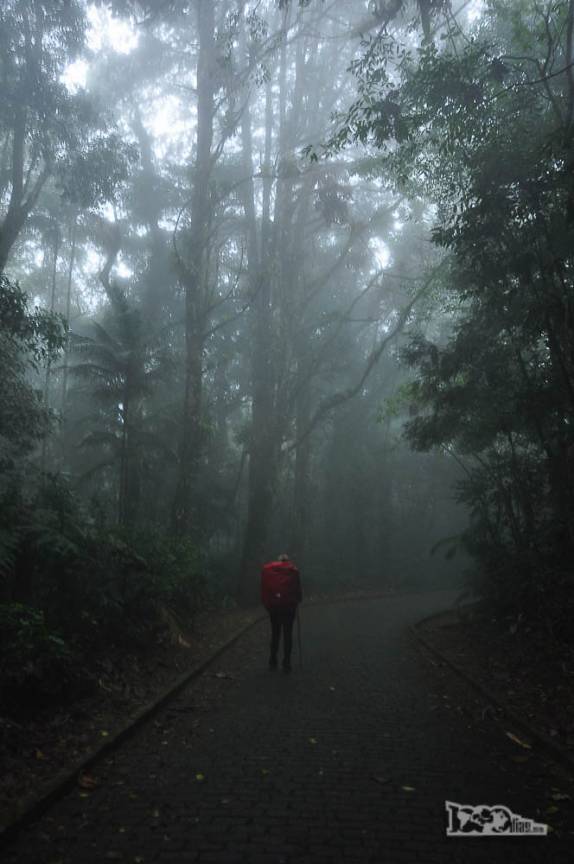 Chuva no Sertão! - Blog do Rodrigo - 1000 dias