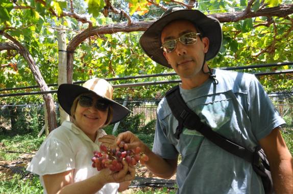 Com a Iolanda e os últimos cachos de uva da temporada, na fazenda FruttiHall, em Petrolina - PE