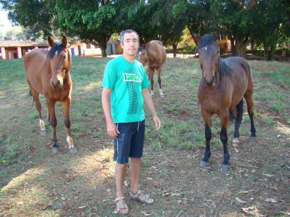 Com cavalos na fazenda em Ribeirão Preto - SP Com cavalos na fazenda em Ribeirão Preto - SP