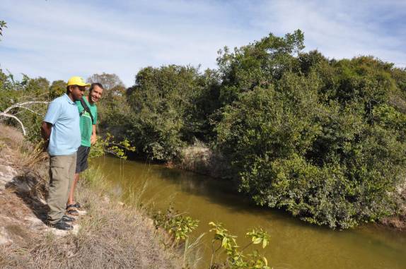 Com o José, nosso guia no Parque Nacional Grande Sertão Veredas, no noroeste de MG (região de Chapada Gaúcha) Com o José, nosso guia no Parque Nacional Grande Sertão Veredas, no noroeste de MG (região de Chapada Gaúcha)