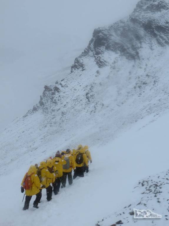 Com tanta neve, as pessoas formam grupos compactos no caminho para Stromness, na Geórgia do Sul Com tanta neve, as pessoas formam grupos compactos no caminho para Stromness, na Geórgia do Sul