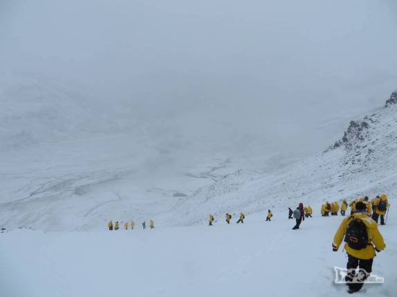 Com tanta neve, as pessoas formam grupos compactos no caminho para Stromness, na Geórgia do Sul Com tanta neve, as pessoas formam grupos compactos no caminho para Stromness, na Geórgia do Sul