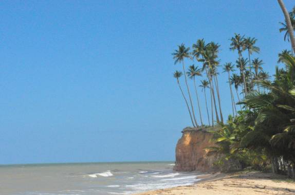 Coqueiros em falésia na Barra do Cahy, em Cumuruxatiba - BA Coqueiros em falésia na Barra do Cahy, em Cumuruxatiba - BA