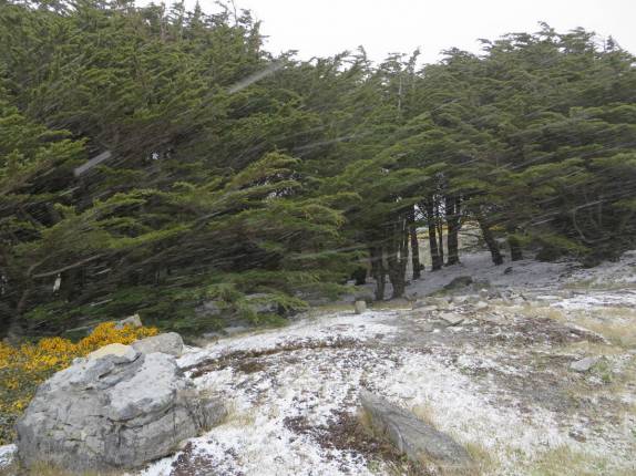 De repente, uma forte nevasca em Port Stanley, a capital de Falkland