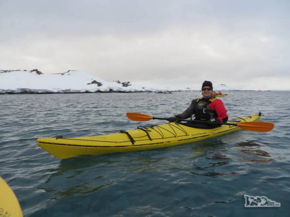 De volta às águas geladas antárticas, dessa vez em Half Moon Island De volta às águas geladas antárticas, dessa vez em Half Moon Island