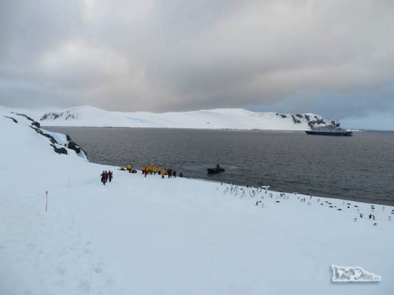 Desembarcando na gelada e pequena ilha de Half Moon Island, na Antártida