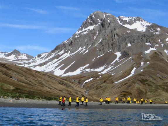 Do caiaque observamos os outros passageiros do Sea Spirit na praia de Ocean Harbour, na Geórgia do Sul Do caiaque observamos os outros passageiros do Sea Spirit na praia de Ocean Harbour, na Geórgia do Sul