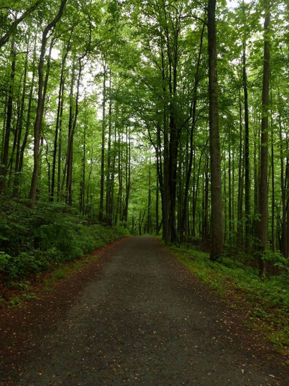 Estrada de incêndio no Shennandoah National Park, na Virginia, nos Estados Unidos Estrada de incêndio no Shennandoah National Park, na Virginia, nos Estados Unidos