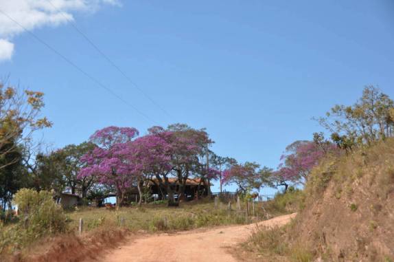 Estrada em São João Batista, na região da Serra da Canastra - MG