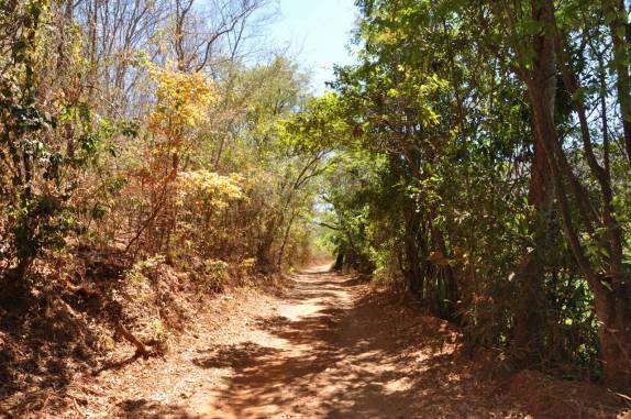 Estrada no Vale do Peruaçu, próximo à Januária - MG Estrada no Vale do Peruaçu, próximo à Januária - MG