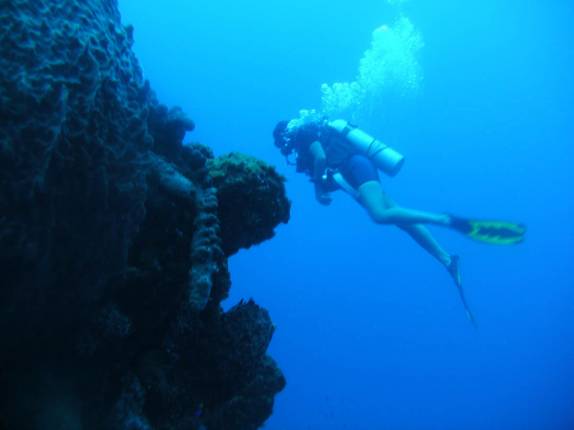 Explorando um pináculo durante mergulho na costa de Saba - Caribe