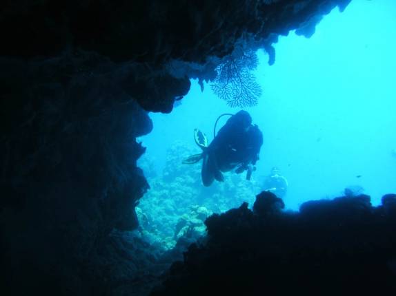 Explrando pequenas grutas e passagens durante mergulho em Tent Reef, na costa de Saba - Caribe