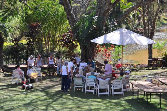 Fazenda bem movimentada em Ribeirão Preto - SP Fazenda bem movimentada em Ribeirão Preto - SP