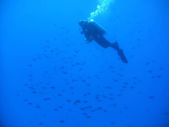 Fim do mergulho na Lage Noronha, em Fernando de Noronha - PE Fim do mergulho na Lage Noronha, em Fernando de Noronha - PE